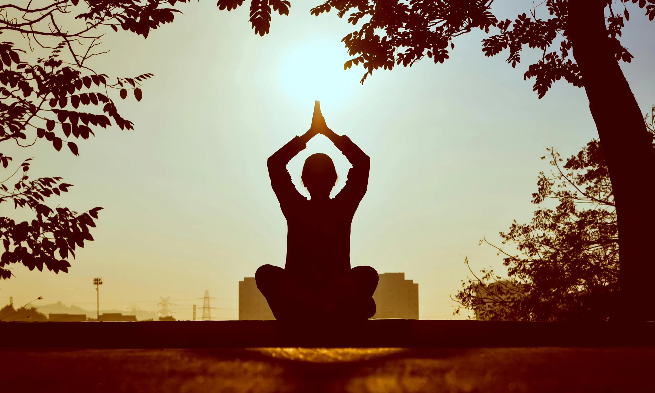 como-usar-a-meditacao-e-amor-proprio-para-curar-traumas, Meditação de Louise Hay